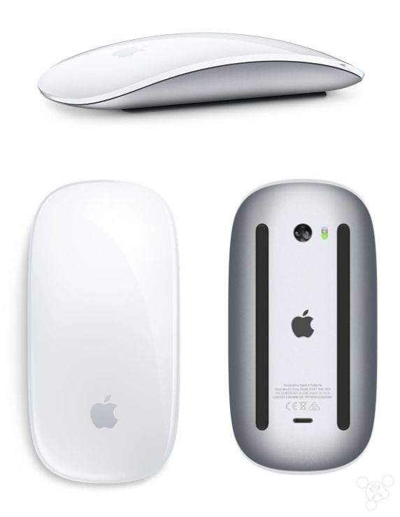 magic mouse