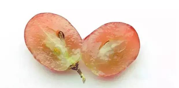 将一粒红皮葡萄从中切开,你会发现,葡萄皮是红色的,而葡萄果肉是白色