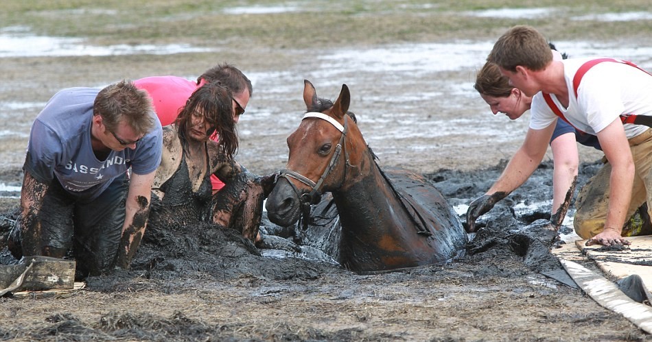 爱马陷入泥潭 澳大利亚妇女勇敢陪伴3小时至其获救