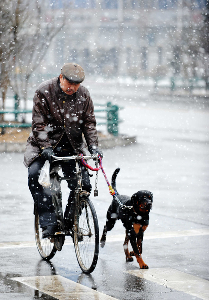 冰城又遇降雪天气