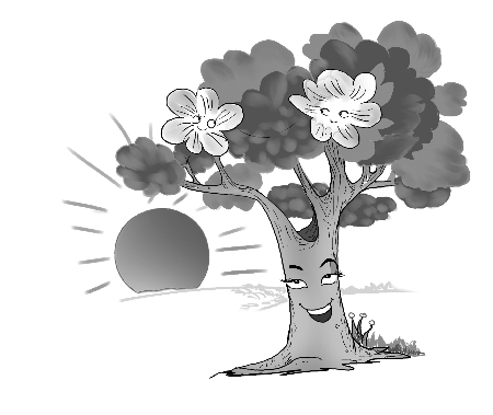 青春树上两朵花