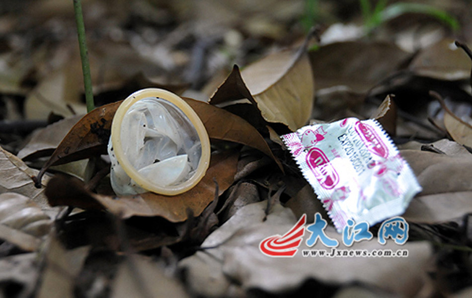 贡院井石碑的后面是一片小树林和草丛,钻进小树林沿着小路前行,快走到