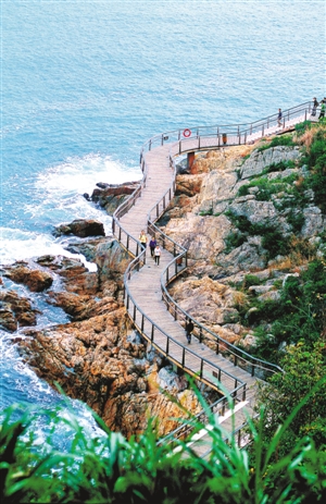 绿道网将"绿生活"带进市民生活.图片由市人居委提供