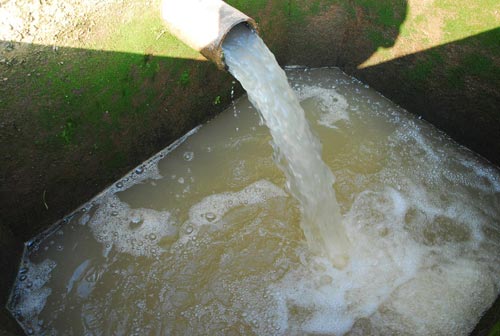 从秋江河抽取上来的河水很浑浊,水中泛起泡沫.