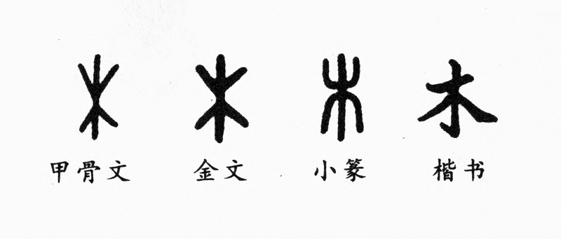 汉字故事:木