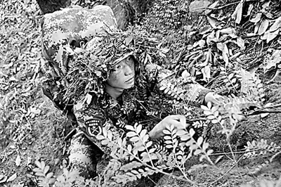 王兴彪丛林穿山甲