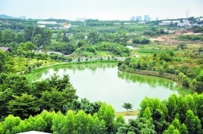 灌口涌泉绿色园林一角 王进法 摄