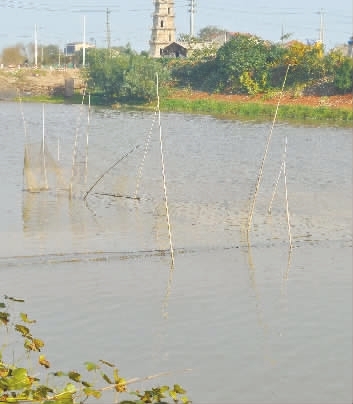 请管管"迷魂阵"