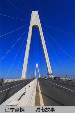 盘锦东桥图片
