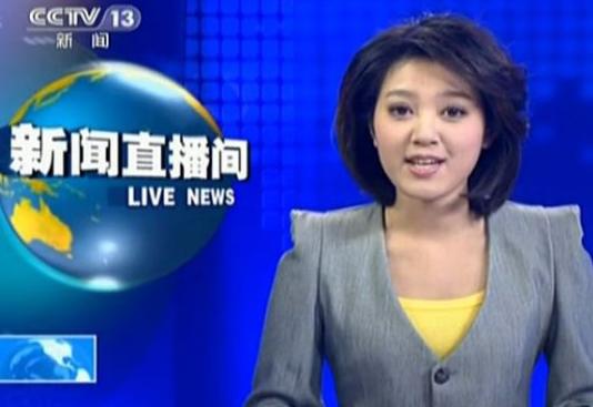 央视实习美女主播王戈亮相 是胡悦鑫同学