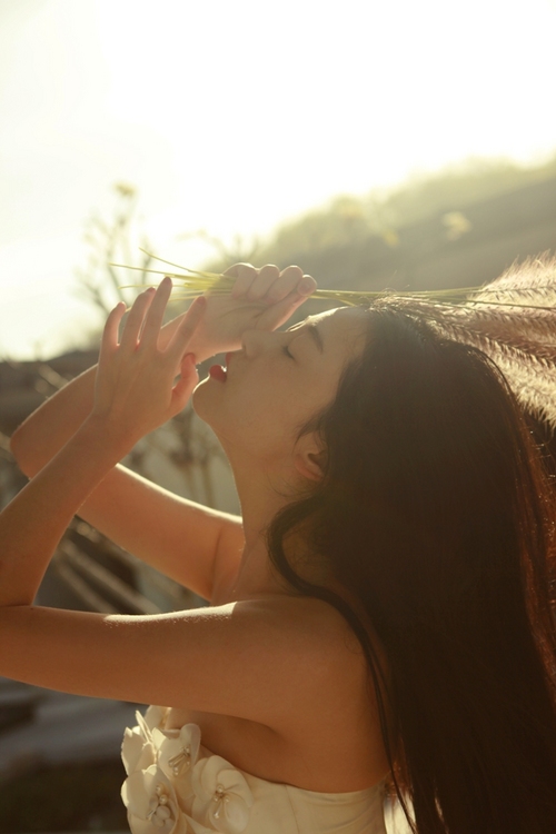 [优雅]张辛苑最新写真曝光 展现清新唯美风