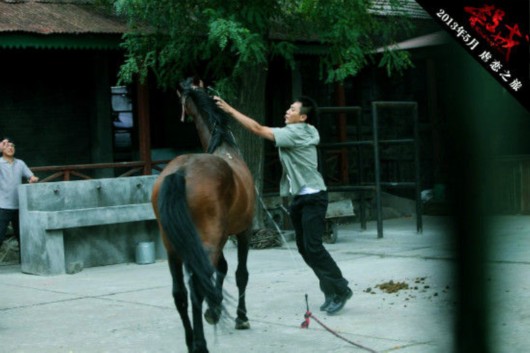 马吊有多么长图片图片